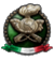 Regio Esercito